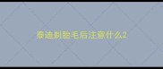 泰迪剃胎毛后注意什么