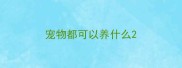 宠物都可以养什么