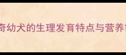 哈士奇幼犬的生理发育特点与营养需求