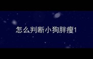 怎么判断小狗胖瘦