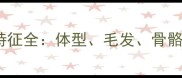 哈士奇身体特征全体型毛发骨骼与行为特征
