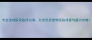 专业宠物医院选择指南北京优质宠物医院推荐与避坑攻略