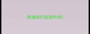 泰迪狗打疫苗时间