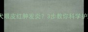 拉布拉多幼犬眼皮红肿发炎3步教你科学护理不踩坑