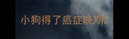 小狗得了癌症晚期