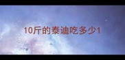 10斤的泰迪吃多少