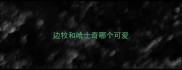 边牧和哈士奇哪个可爱
