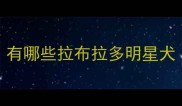 有哪些拉布拉多明星犬