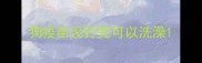 狗疫苗没打完可以洗澡