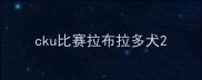 cku比赛拉布拉多犬