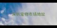 深圳宠物市场地址