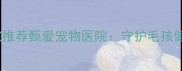 上海口碑宠物医院推荐甄爱宠物医院守护毛孩健康的宝藏选择