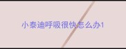 小泰迪呼吸很快怎么办