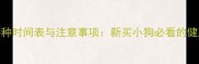 科学疫苗接种时间表与注意事项新买小狗必看的健康守护指南