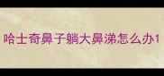 哈士奇鼻子躺大鼻涕怎么办