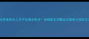 幼犬拒食拒水三天不处理会致命宠物医生详解应对措施与预防方法