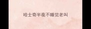 哈士奇半夜不睡觉老叫