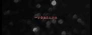一岁泰迪怎么训练