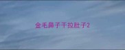 金毛鼻子干拉肚子