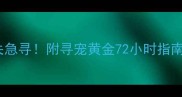 杭州拉布拉多丢失急寻附寻宠黄金72小时指南及成功案例分享