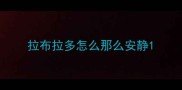 拉布拉多怎么那么安静