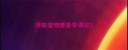 济南宠物哪里学得好