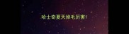 哈士奇夏天掉毛厉害