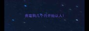 贵宾狗几个月开始认人