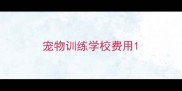 宠物训练学校费用
