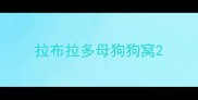 拉布拉多母狗狗窝