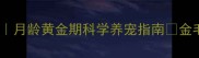 两个月大金毛幼犬喂养全攻略月龄黄金期科学养宠指南金毛饲养幼犬护理新手养宠必看