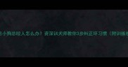 6个月小狗总咬人怎么办资深训犬师教你3步纠正坏习惯附训练视频