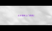 北京猫咪上门照顾