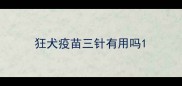 狂犬疫苗三针有用吗
