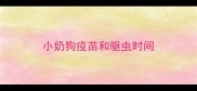 小奶狗疫苗和驱虫时间