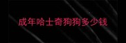 成年哈士奇狗狗多少钱