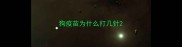 狗疫苗为什么打几针