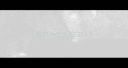 泰迪为什么咬主人