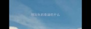 刚出生的泰迪吃什么