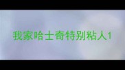 我家哈士奇特别粘人