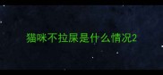 猫咪不拉屎是什么情况