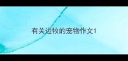 有关边牧的宠物作文