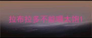 拉布拉多不能喂太饱
