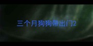 三个月狗狗带出门