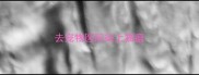 去宠物医院染上猫瘟