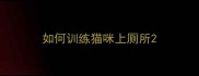 如何训练猫咪上厕所
