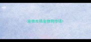 宠物市场宠物狗市场