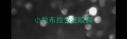 小拉布拉多老咬脚
