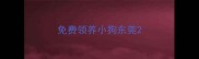 免费领养小狗东莞
