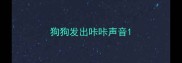 狗狗发出咔咔声音